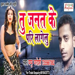 Download track Tu Jannat Ke Pari Lagelu Pappu Pardesi