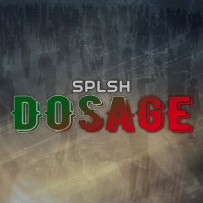 Download track Dosage (Radio Edit) Splsh