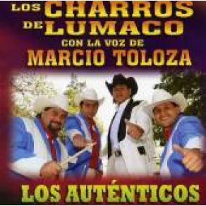 Download track Tu Pasatiempo Los Charros De Lumaco