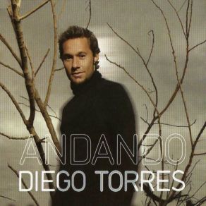 Download track Amores Que Matan Diego Torres