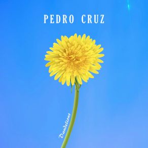 Download track Dandelions Pedro Cruz