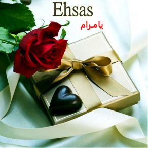 Download track حبيبي وين الاقيك Ehsas