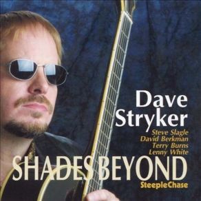 Download track Persimmon Dave Stryker