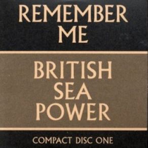 Download track Good Good Boys British Sea Power