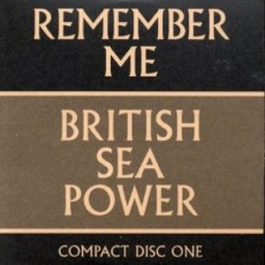 Download track Salty Water British Sea Power