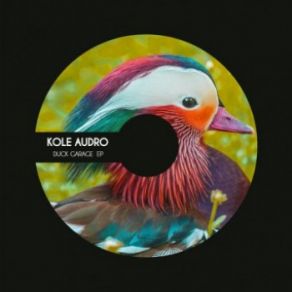 Download track Persian (Original Mix) Kole Audro