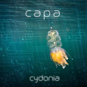 Download track Cydonia CaPa