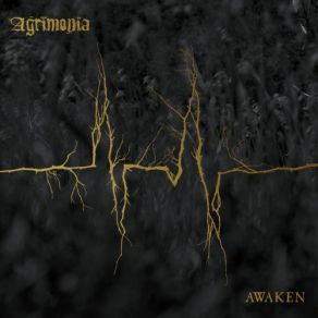 Download track Foreshadowed Agrimonia