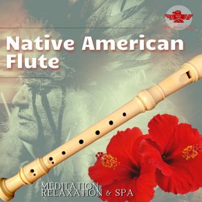 Download track Pure Flute Healing, Canyon Sound Native American Channel