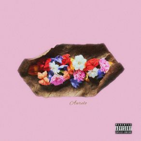 Download track Abschiedsblumen - Outro Aurelo