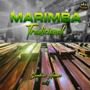 Download track Mercado De Villa Hermosa Marimba Tradicional