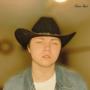 Download track Honky Tonk Man Calum Reid