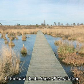 Download track Mongolian Throat Singing Binaural Beats