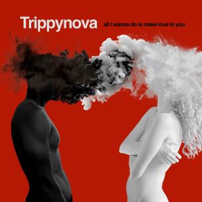 Download track All I Wanna Do Is Make Love To You (Reggae Version) Trippynova