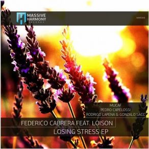 Download track Losing Stress (Gonzalo Sacc & Rodrigo Lapena Remix) Federico Cabrera, LoisonGonzalo Sacc