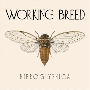 Download track Cicada Working Breed