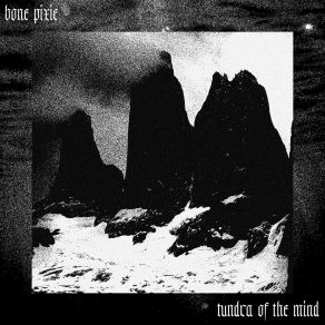 Download track Null & Void Bone Pixie