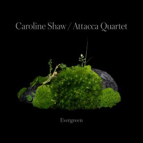 Download track The Evergreen: I. Moss Caroline ShawAttacca Quartet