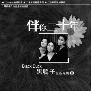 Download track The Everest Black Duck