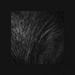 Download track Ivory Tusk Deft