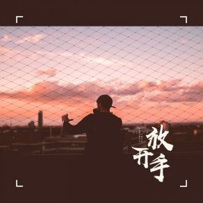 Download track 放开手 苏大强