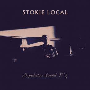 Download track (Birthday Reprise) Stokie Local