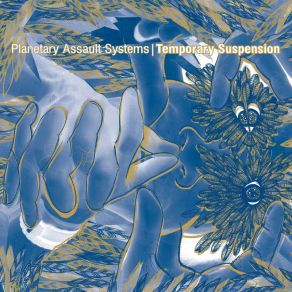 Download track Whoodoo Planetary Assault Systems