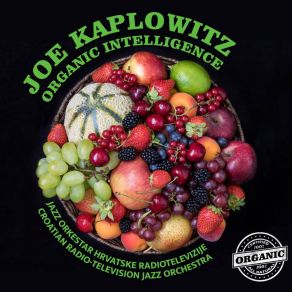 Download track Zawanadon Joe Kaplowitz