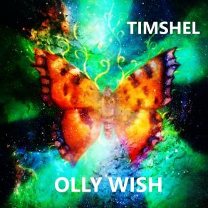 Download track Crazy Flow Olly Wish