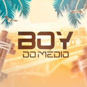 Download track Mina Sensação Boy Do Medio