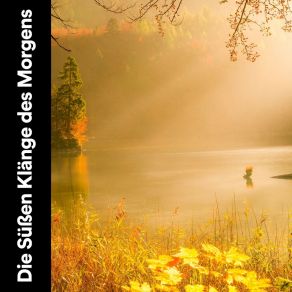 Download track Schöne Flucht Naturgeräusche Meditationsmusik