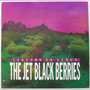 Download track Noon In Cairo The Jet Black Berries