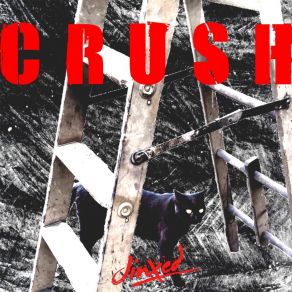 Download track Never Told You Crush