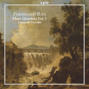 Download track Quintet For Flute, Violin, 2 Violas And Violoncello Op. 107 In B Minor: 5. Allegro Ardinghello Ensemble