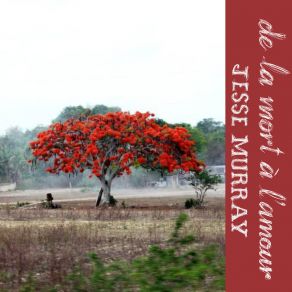 Download track Madame De Villedieu Jesse Murray