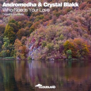 Download track Who Needs Your Love (Dub Mix) Crystal Blakk, Andromehda