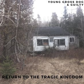 Download track Gross Golden Guilty '98 Young Gross DogGolden Bsp