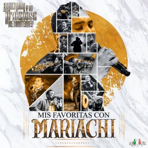 Download track Borracho De Amor (Versión Mariachi) Domingo Chávez M