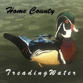 Download track The Days Of Trade Home County