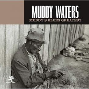 Download track Train Fare Home Blues Muddy Waters