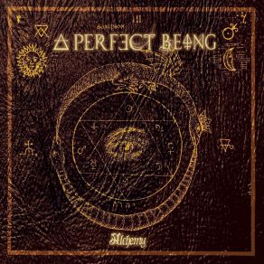 Download track Transmute A Perfect Being