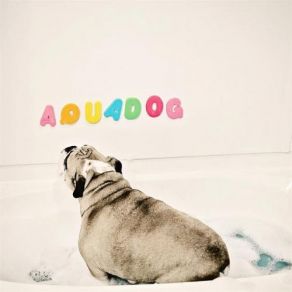 Download track Red Horizon Aquadog