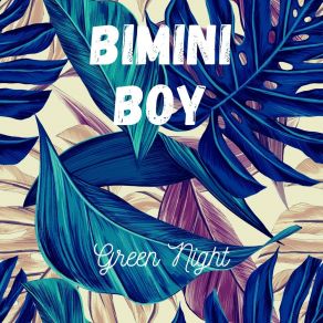 Download track Green Night Bimini Boy