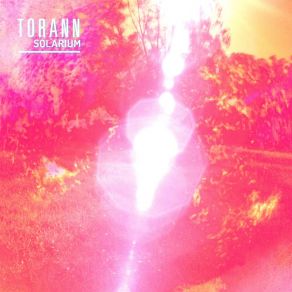 Download track Bruadar Torann