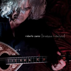 Download track Cudega Bay Roberto Zanisi