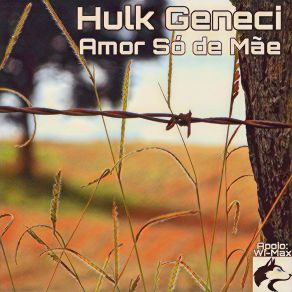 Download track Que Amor É Esse Hulk Geneci