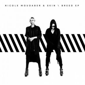 Download track Someone Like You Skin, Nicole Moudaber, Zebra Katz