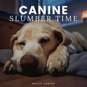 Download track Good Companion Calm Dog Music