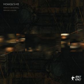 Download track Inercia Sensorial (Original Mix) Mowgly3 M3