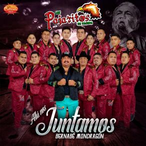 Download track De Buena Gana Los Pajaritos De Tacupa